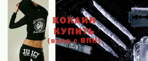 молекула духа Богородск