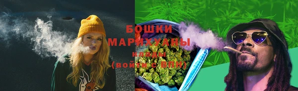 молекула духа Богородск