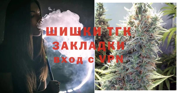 молекула духа Богородск