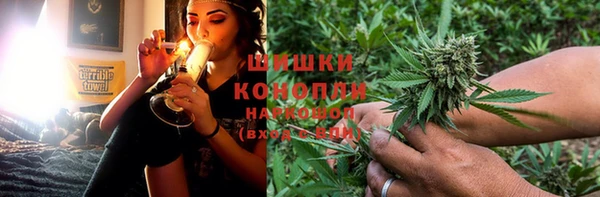 молекула духа Богородск