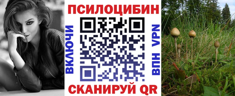 Галлюциногенные грибы MAGIC MUSHROOMS  закладка  Волчанск 